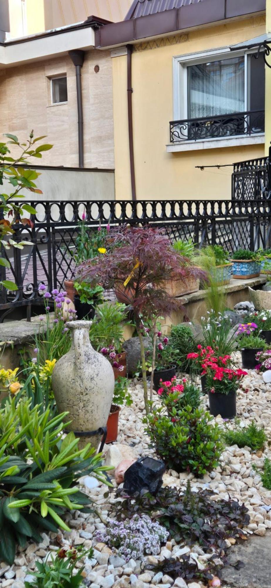 Luxury Private House In City Center Veliko Tarnovo Phòng bức ảnh
